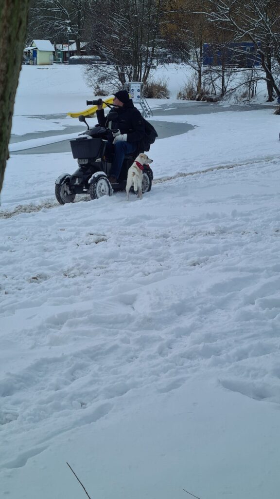 Poděbradské jezero 202601 bacha dokumentace