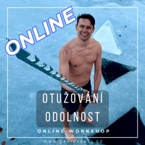 Online-workshop-otuzovani-Vencl